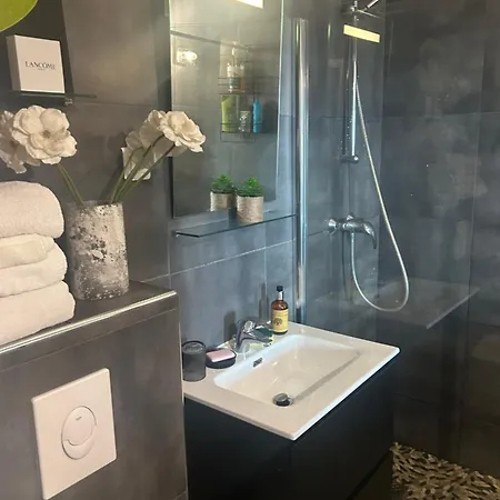 アパート Duplex F4-2 Balcons Face A La アジャクシオ