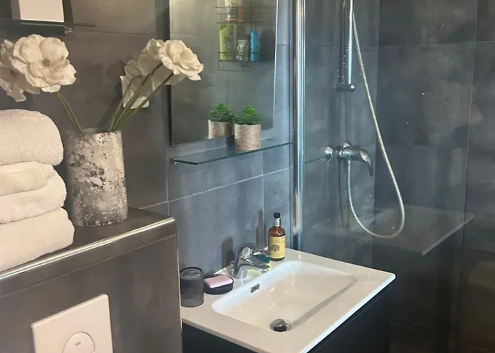 דירה Duplex F4-2 Balcons Face A La אז'אקסיו